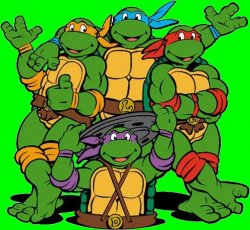Ninja Turtles Meme Template