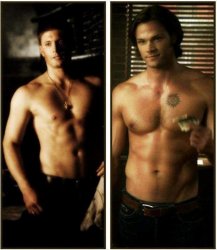 Dean and Sam Winchester Meme Template