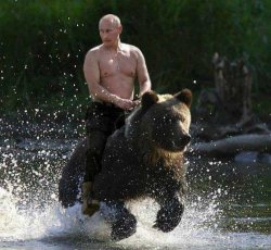 Putin on bear Meme Template