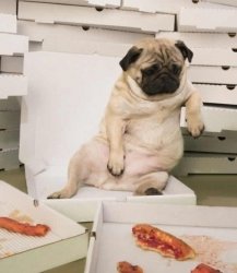 Dog Pizza Meme Template