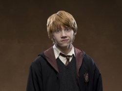 Ron Weasley Meme Template