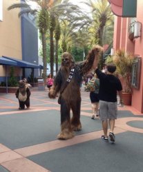 Wookie Meme Template