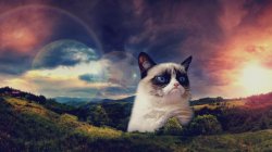 motivational grumpy cat Meme Template