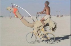 Camel bike Meme Template