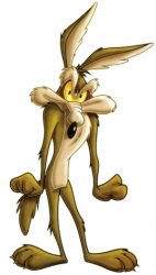 Wile E Coyote Meme Template