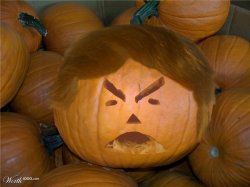 Donald Trumpkin Meme Template