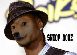 Snoop Doge Meme Template