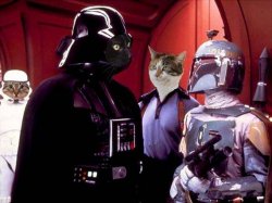 Vader, Boba Fett, Lando Meme Template