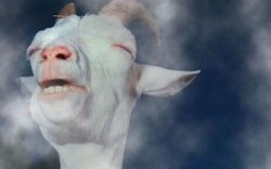 "goat" Meme Templates - Imgflip