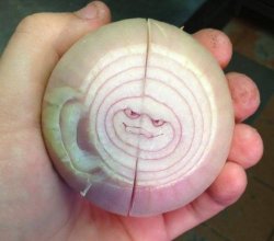 angry onion Meme Template