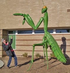 Giant praying mantis attack Meme Template