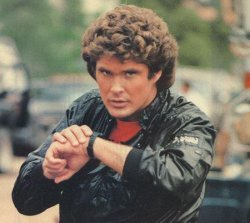 Hoff Meme Template