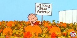great pumpkin linus Meme Template