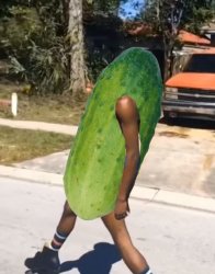 pickle skate Meme Template