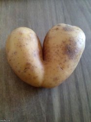 Love potato Meme Template