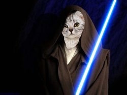 Jedi cat Meme Template