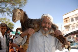 Sex Goat Meme Template