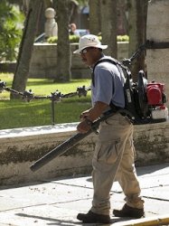 Leaf blower Meme Template