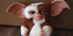 Mogwai Meme Template