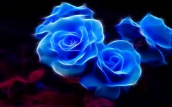 fractal roses Meme Template