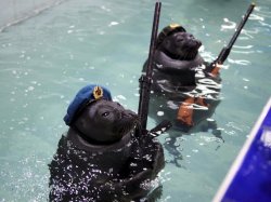 The navy seals Meme Template
