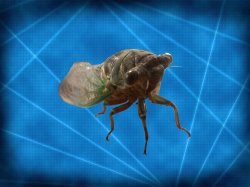 Conspiracy Cicada Meme Template