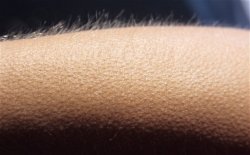 Goosebumps Meme Template