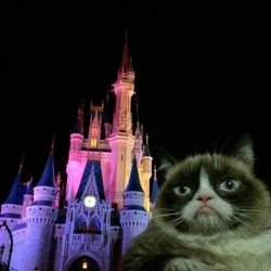 Grumpy Cat Disneyland castle Meme Template