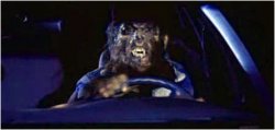 Werewolf Driver Meme Template