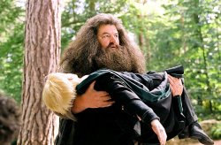 hagrid Meme Template