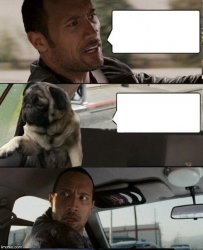 Rock driving Pug Meme Template