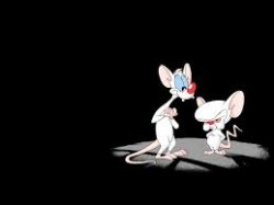 Pinky & Brain Meme Template