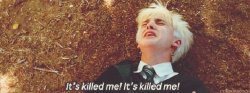 Draco it's killed me Meme Template