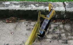 Headless Mantis drinking Meme Template