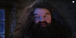 Hagrid wizard Meme Template
