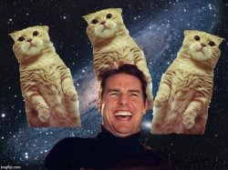 Tom Cruise Cats Meme Template
