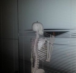 ME WAITING FOR MY SISTER TO PAY ME BACK Meme Template