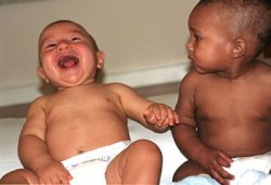 Babies laughing Meme Template