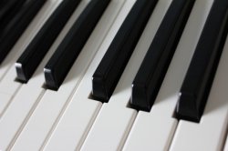 Piano keys Meme Template