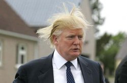 Trump Bad Hair Day Meme Template