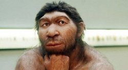 Neanderthal Meme Template