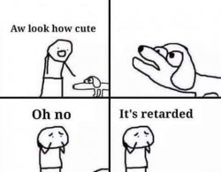 retarded dog Meme Template