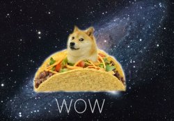 Space doge Meme Template