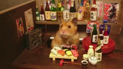 Hamster_Sushi Meme Template