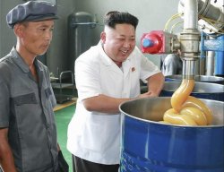 kim jong-un having fun Meme Template