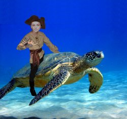It's a sea turtle, not a seat turtle Meme Template