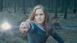 Hermione Casting Spell Meme Template