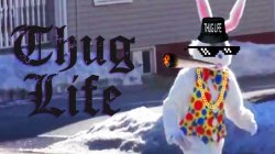 Easter bunny thug Meme Template