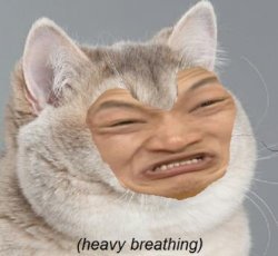 Impossibru Heavy Breathing Cat Meme Template