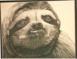 Sloths bitch Meme Template